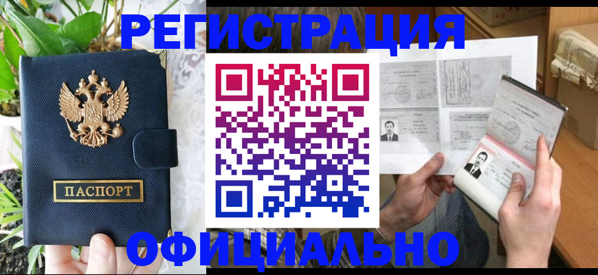 прописка поиск в Александровске